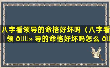 八字看领导的命格好坏吗（八字看领 🌻 导的命格好坏吗怎么 🌷 看）